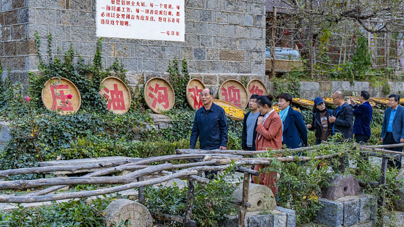mmexport1605183036615_副本.jpg