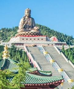 龙口南山旅游景区 
                        国家AAAAA级的南山旅游景区，位于美丽富饶的胶东半岛海港城市—龙口市，这里依山傍海，气候宜人，交通便利，景色诱人。这里古称卢山，素有“东莱第一山”之美誉。这里是一处自然景观与人文景观相融合的旅游胜地。“结庐在人境，而无车马喧。采菊东篱下，悠然见南山”，勾勒出一幅寿比南山的人间美景。
                