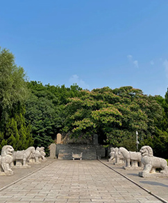 |新会员亮风采|东阿鲁森旅游开发有限公司 
                        省旅促会会员单位东阿鲁森旅游开发有限公司成立于2020年12月11日
                